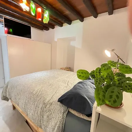 Chalet Arianna's Chalet La Laguna (Tenerife)
